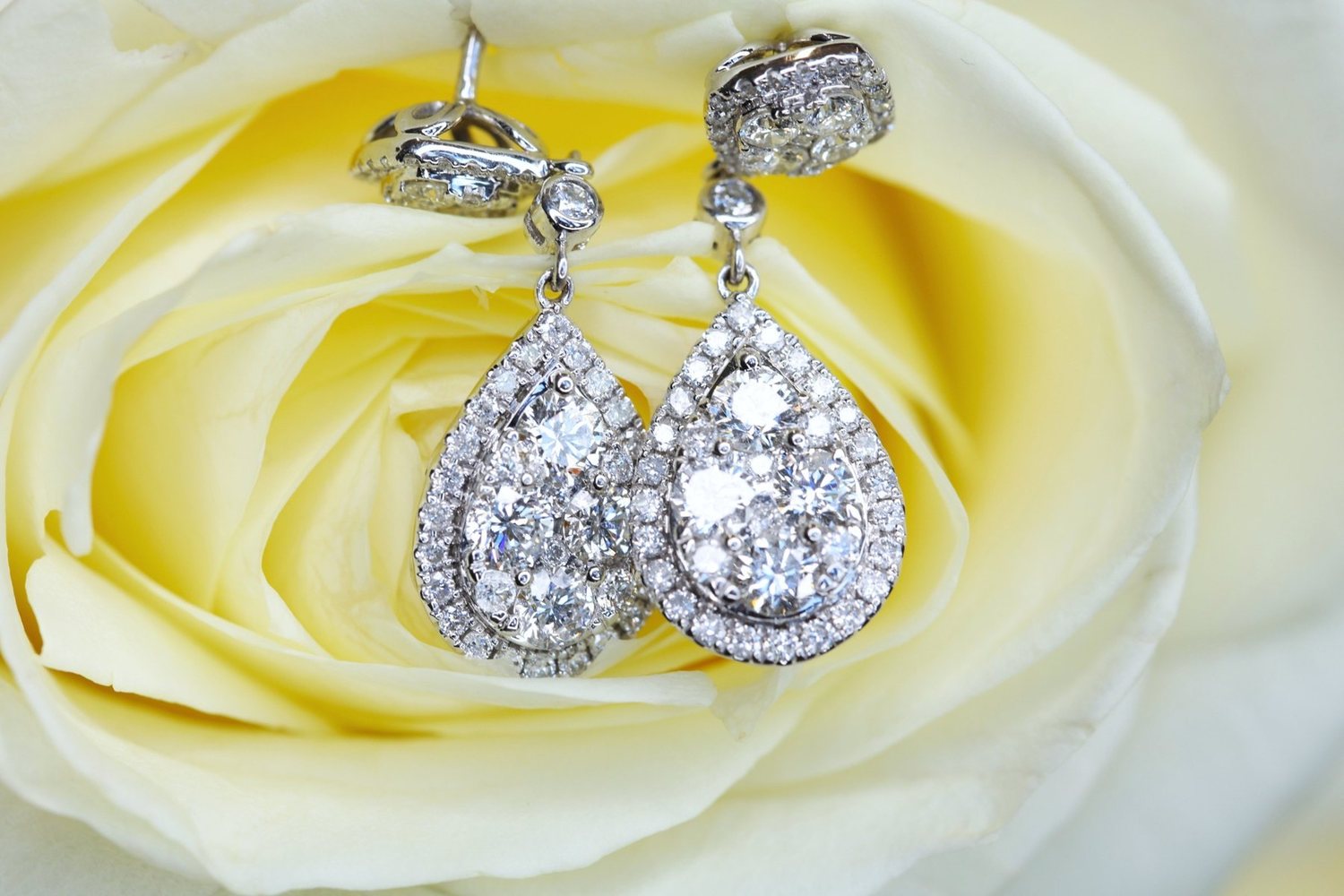 Diamond drop earrings resting in a cream rose